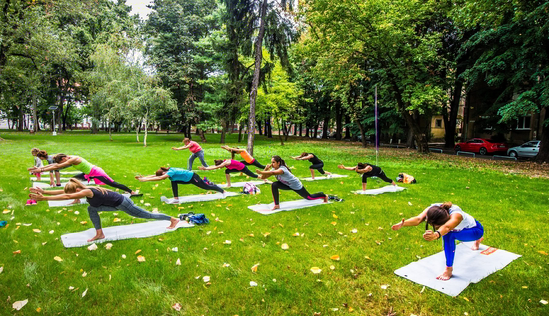 a group of people doing yoga in a park